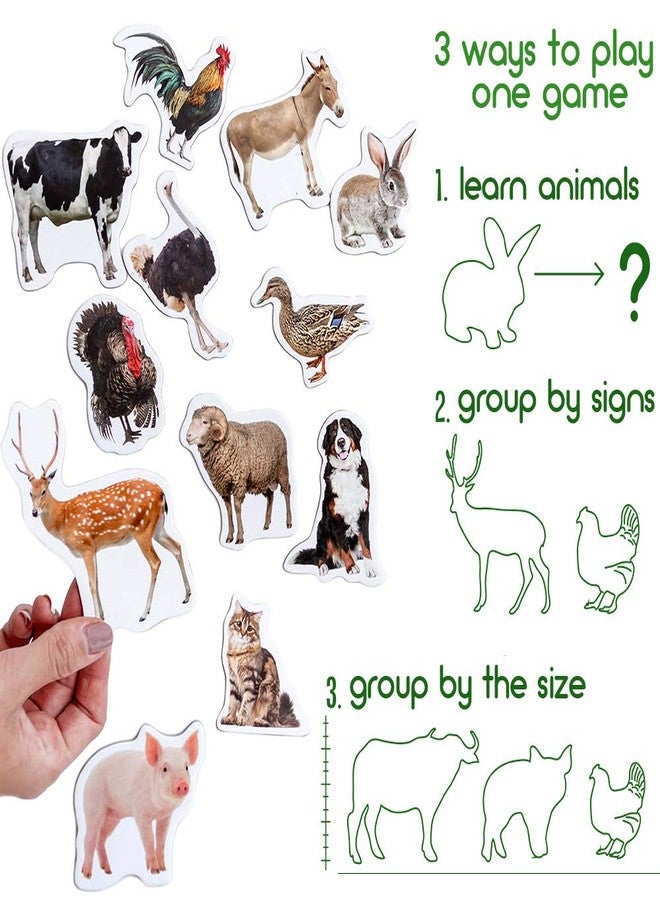 magdum Fridge Magnets for Toddlers - Magdum - 16 Farm Animal Magnets for Refrigerator - Magnetic Animals for Children - Realistic magnets for Kids - Learning Set - Baby Educational Gift - Image 4